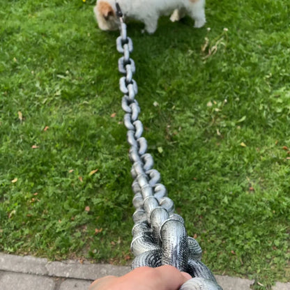 Dog Walking Chain🐶